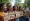 Know Your Rights: Essential Immigration Protections Explained