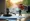 Why You Need the Mejor Licenciado de Accidentes de Auto for Support