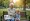 Understanding Grandparental Rights: A Comprehensive Guide for Families