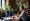 Why You Need an Immigration and Family Law Attorney Today