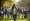 4 Best Practices for Choosing an Immigration Attorney for Citizenship