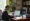 5 Essential Tips for Choosing an H1B Immigration Attorney