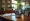 10 Reasons to Choose the Best Immigration Lawyer in Orlando