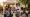 Navigate the Immigration Office in Cleveland: Essential Steps and Services