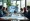 Is PERM an Immigrant Petition? Understanding Its Role in Immigration