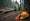 10 Essential Facts About Logging Accident Lawyers You Must Know