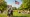 Naturalized or Derived U.S. Citizen: Key Differences Explained