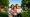 Understanding Natural or Derived Citizenship for Immigrant Workers