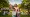 10 Key Differences Between Derived vs Naturalized Citizenship
